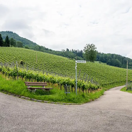 Haus Am Baechel 2 * Obersasbach