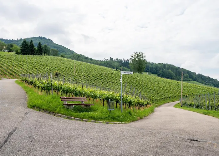 Haus Am Baechel 2 Obersasbach