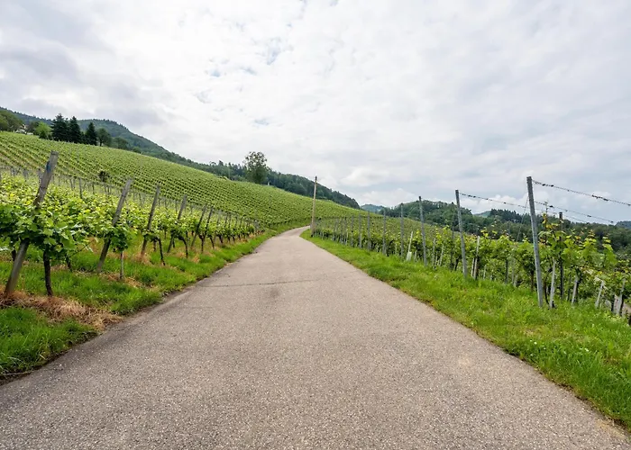 Haus Am Baechel 2 Apartamento Obersasbach