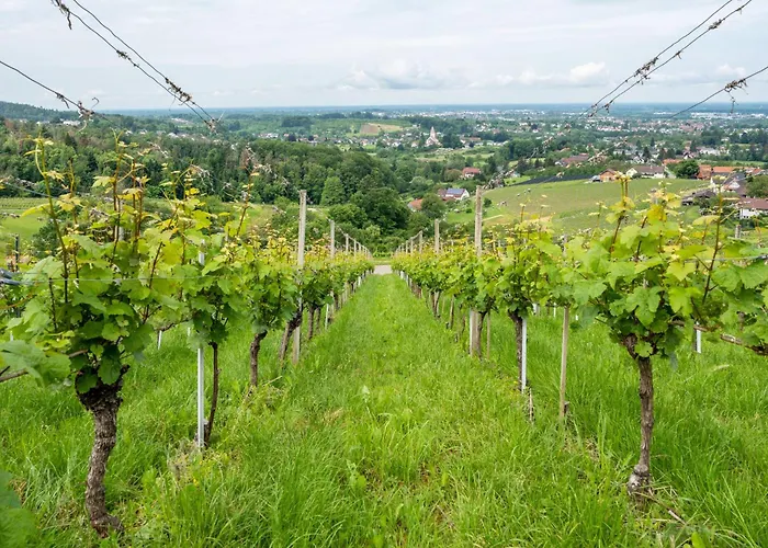 Haus Am Baechel 2 * Obersasbach